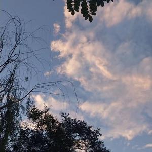 外国美女阴道变态拳交
