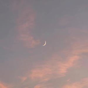 外国美女阴道变态拳交
