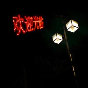 外国美女阴道变态拳交
